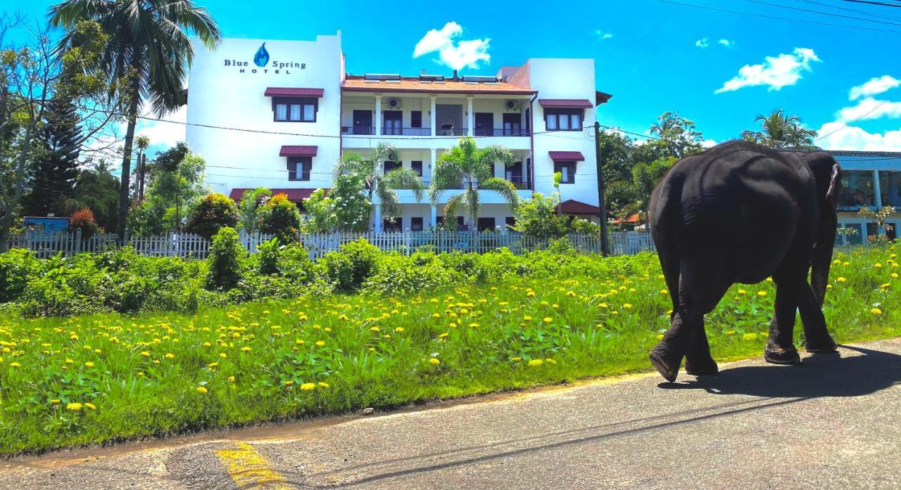 Blue Spring Hotel Wadduwa Exterior photo